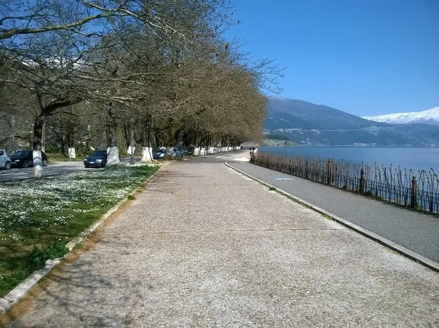 ioannina transfers ioannina 4